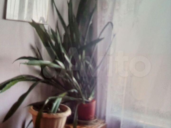 2-к. квартира, 44 м², 5/5 эт.