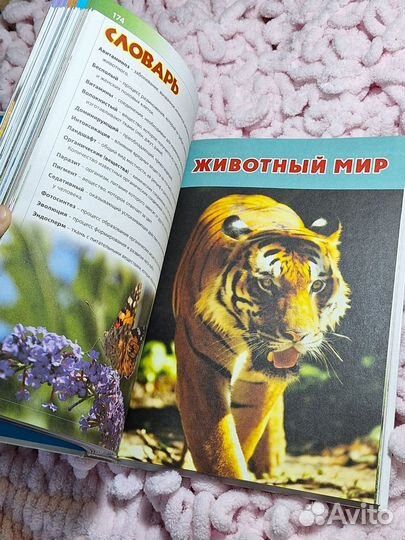 Детская энциклопедия
