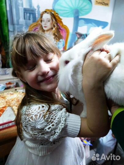 Аниматор VIP / Шоу Фокусника с Кроликом