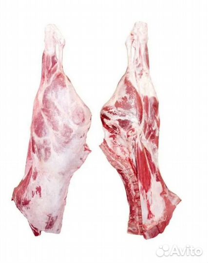 Продам мясо говядина