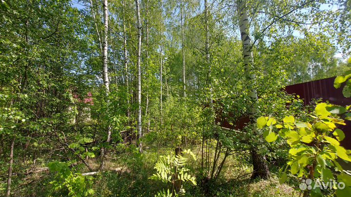 Расчистка от деревьев и кустарников, покос травы