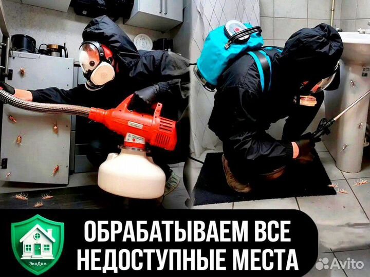 Уничтожение тараканов, обработка от клопов , блох