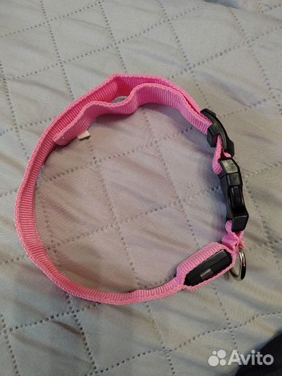 Светящийся ошейник для собак