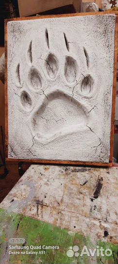 Отпечаток лапы медведя