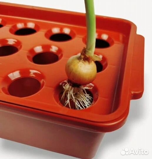 Лоток для выращивания лука