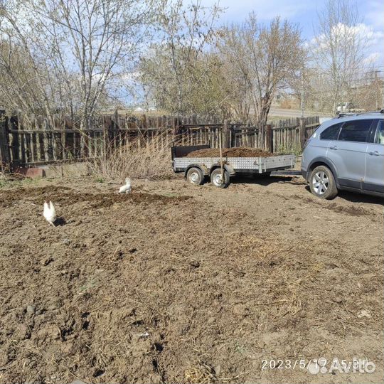 Коровий навоз, перегной, торф, чернозем