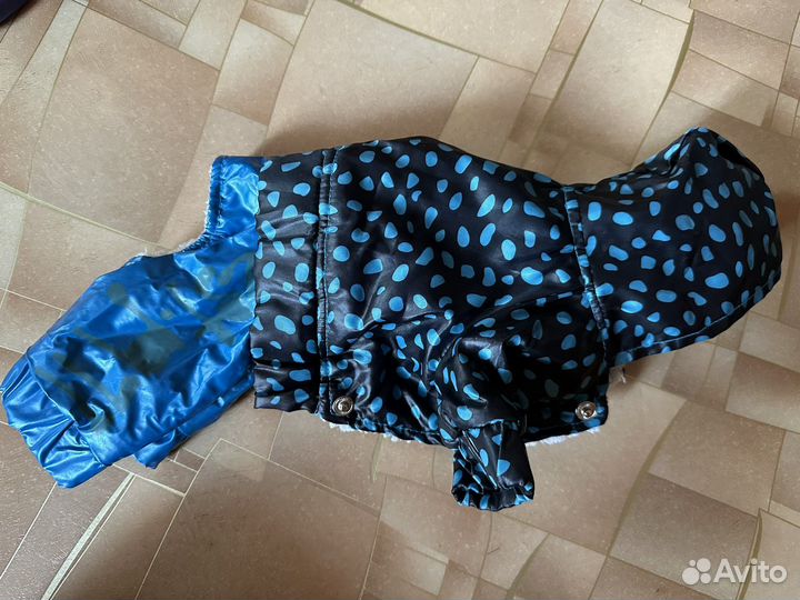 Одежда для собак