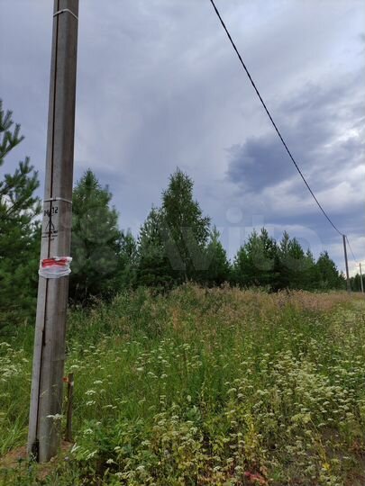 Участок 11 сот. (СНТ, ДНП)