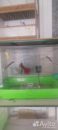 Клетка для волнистого попугая большая