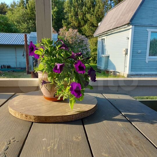 Дача 60 м² на участке 7 сот.