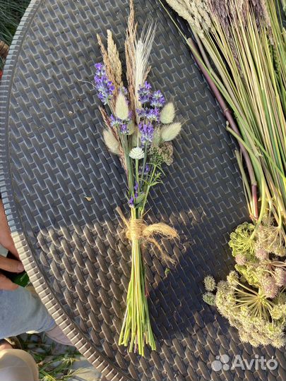 Цветы сухоцветы