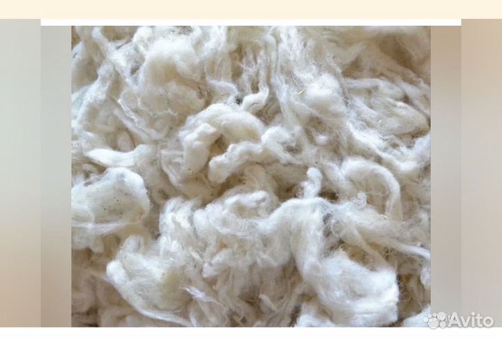 Шерсть овечья