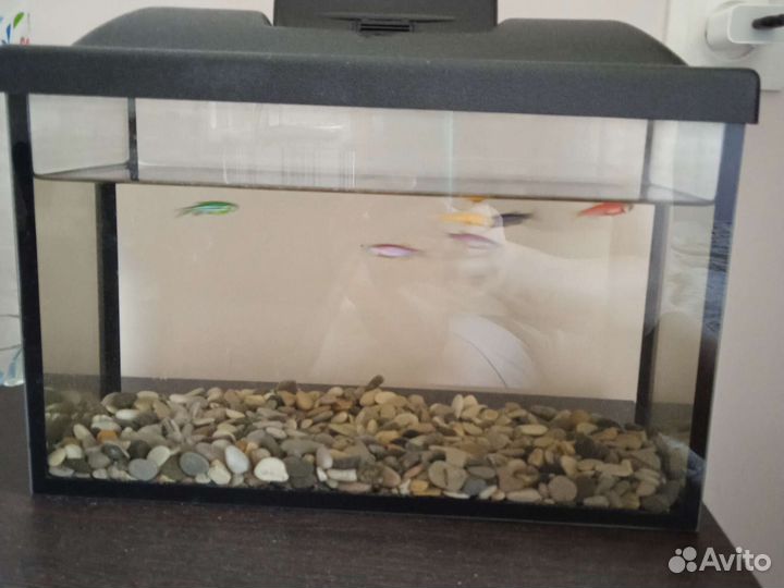 Продам сачок для рыбок, грунт, корм