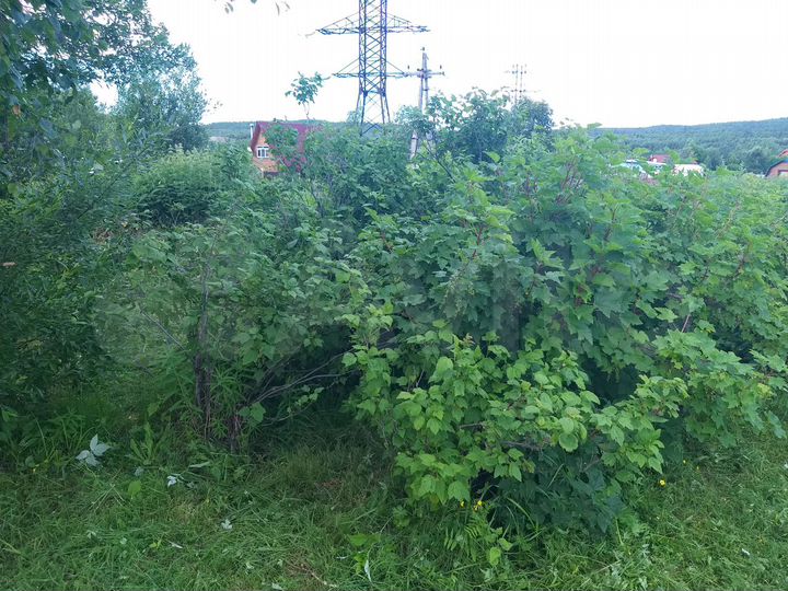 Участок 4 сот. (СНТ, ДНП)
