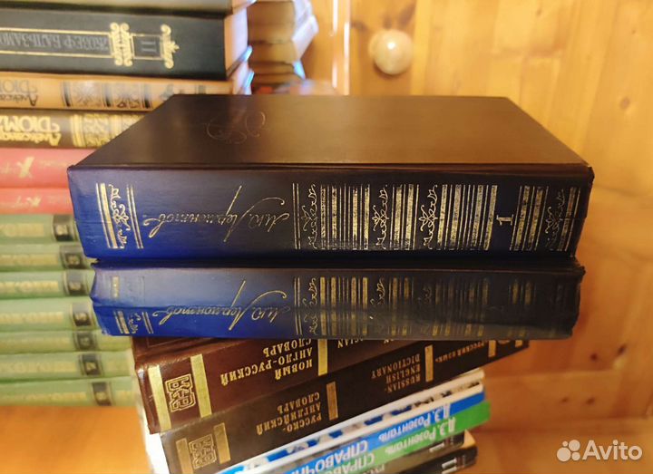 Собрание сочинений Лермонтова 2 тома