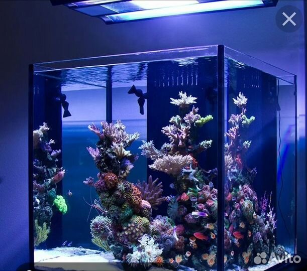 Эко аквариум