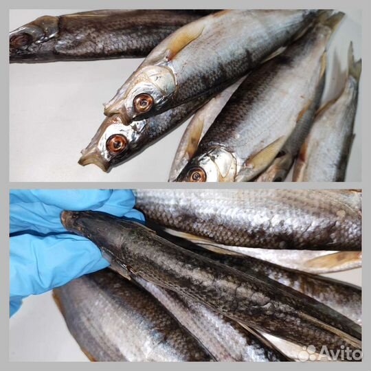 Донская рыба вяленая, Лещ, Рыбец, Царская Доставка