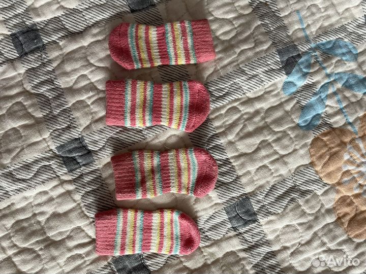 Носки для собак