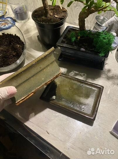 Кашпо под бонсай