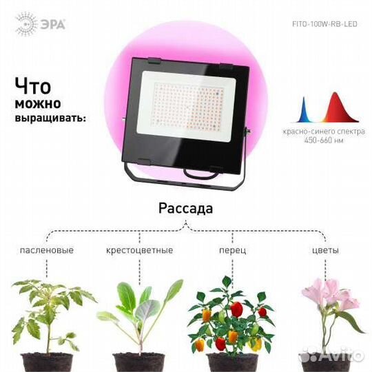 Фитопрожектор