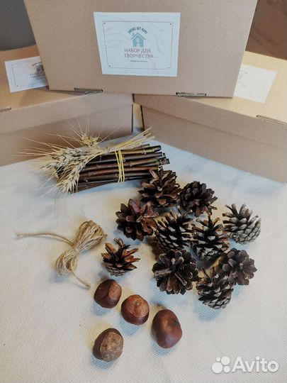 Набор природных материалов для поделок, творчества