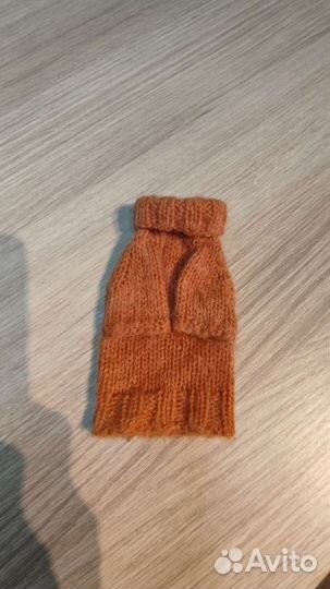 Одежда для кошек