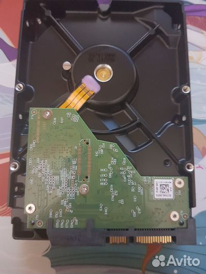 Жесткий диск 2 TB WD Blue