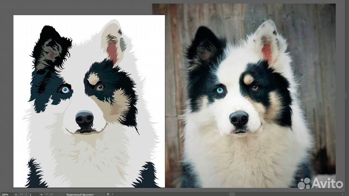 Векторная графика Дизайн Отрисовка картинок