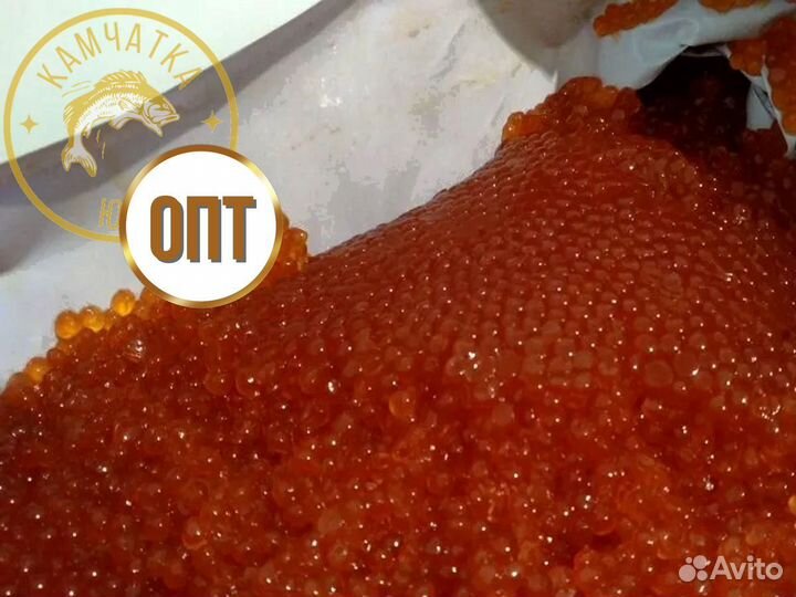 Красная икра Горбуша, Нерка, Кета, Кижуч