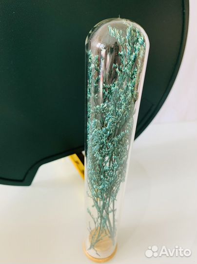 Подарок/подарочный набор