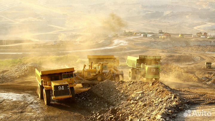 Горный мастер (россыпное золото)