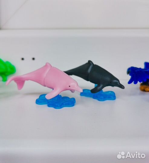 Kinder Natoons 2024 2023 2022