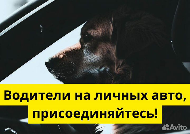 Подработка в Яндекс Go на своем авто