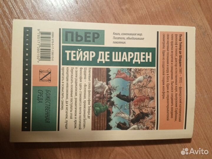 Божественная среда