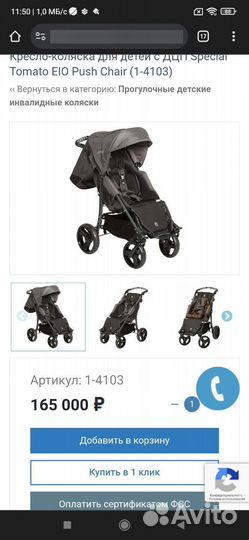 Коляска для детей с дцп Special Tomato