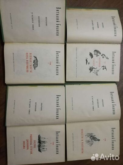 Ключевский,Крон,Гофман,Бианки. Книги, собрание