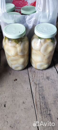 Грузди солёные сухие и сырые