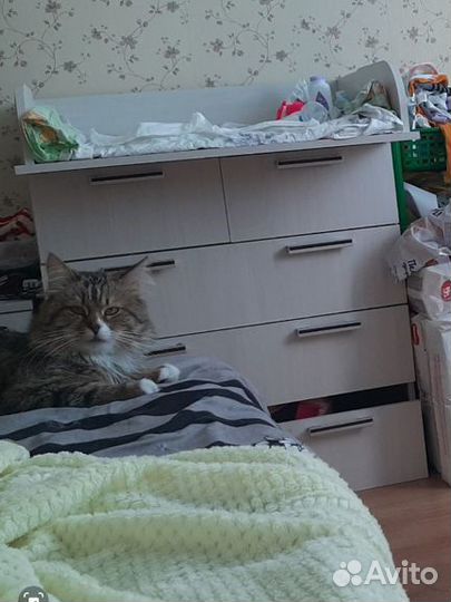 Пеленальный комод