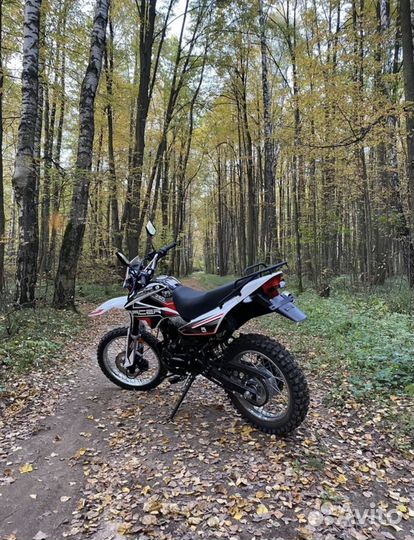 Racer Panther 250