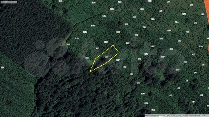 Участок 25,5 сот. (СНТ, ДНП)