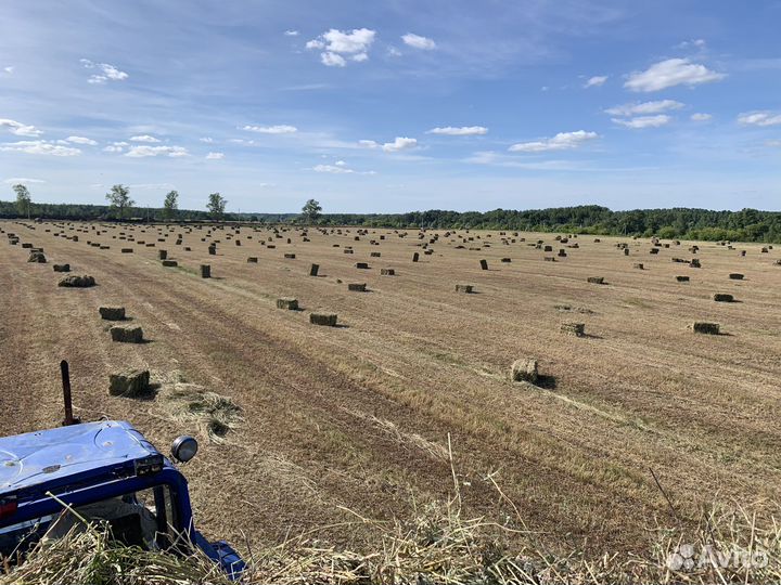 Солома в тюках