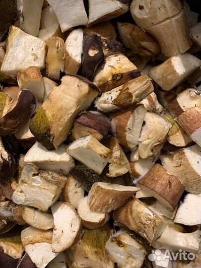 Продам замороженные лесные грибы опт