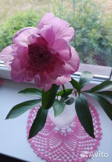 Набор декоративных салфеток