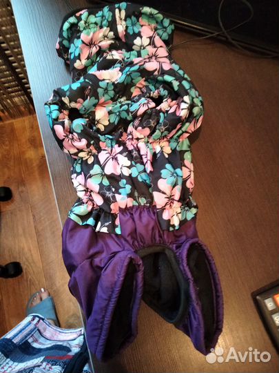 Продам комбинезон для собаки