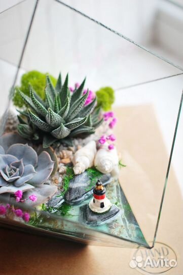 Флорариум с суккулентами в кубе