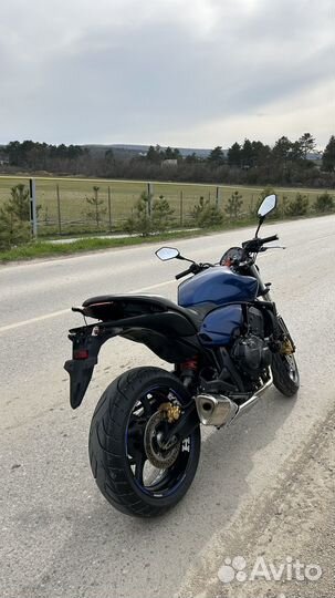Продам honda CB600F hornet 2009