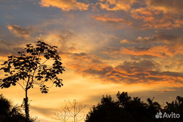 Фильтр градиентный на объектив камеры