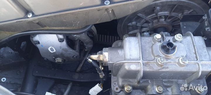 Tayga patrul 800 swt