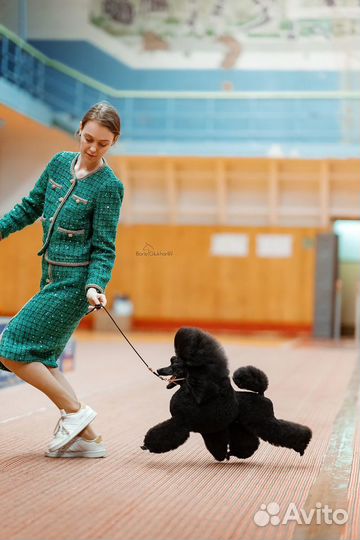 Услуги хендлера