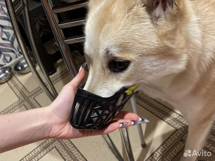 Намордник для собак, размер S